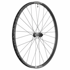 Dt-swiss M 1900 Spline® 30 Disc Roue Avant Vtt 29" 2022