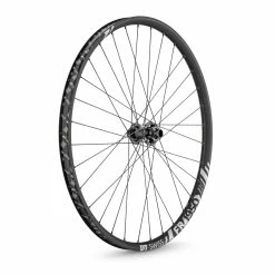 Dt-swiss FR 1950 Classic 30 Disc BOOST Roue Avant Vtt 29"